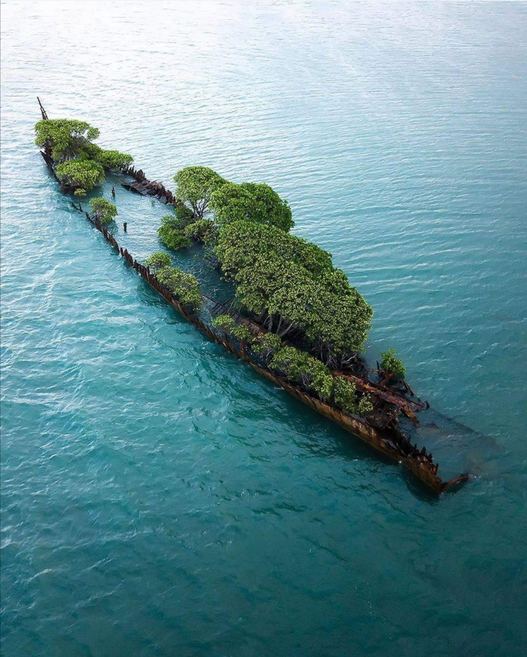 Abandoned ship